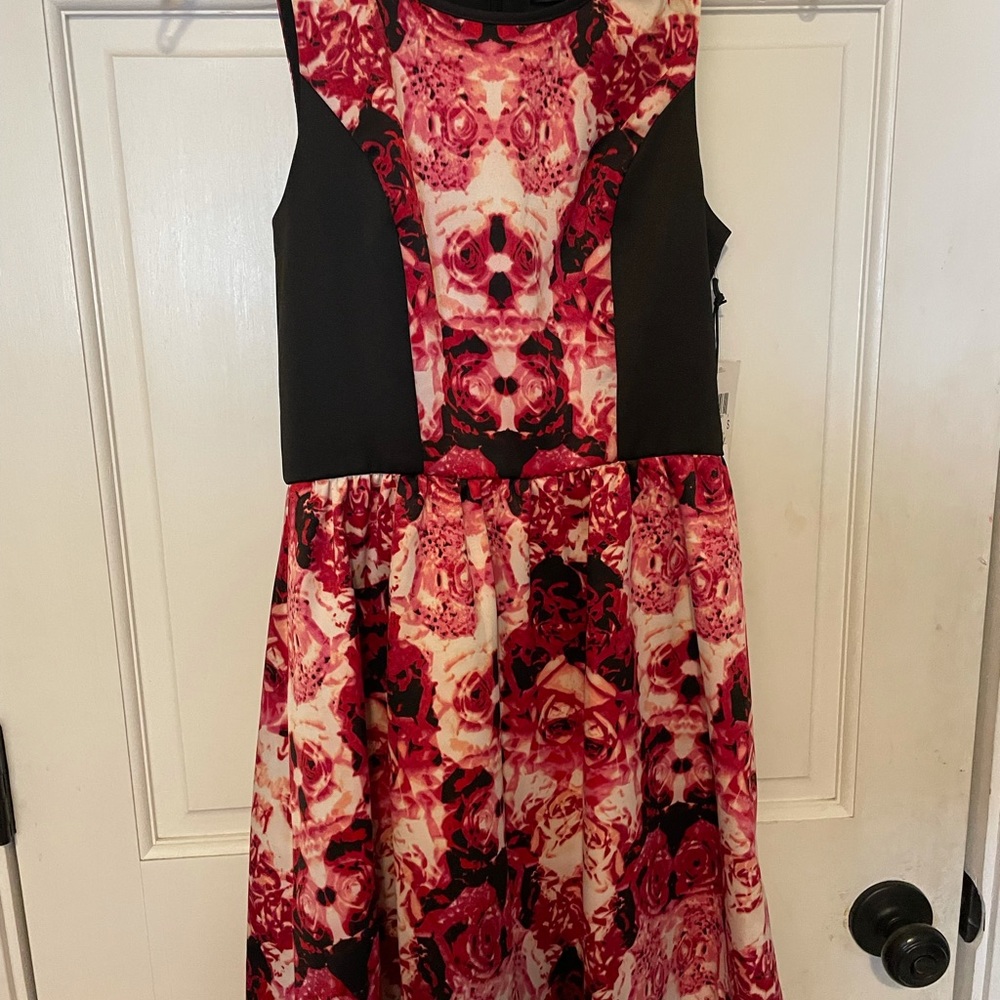 Formal/Short Dress